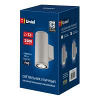 Уличный светильник ULU-S22D-2x12W/6400K IP65 LIGHT GREY