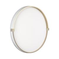 7646/DLN PALE SN 189 Светильник пластик/белый/золотой LED 48Вт 3000/4000/6000К D390 IP43 CCT OLIDI WHITE
