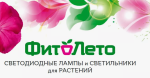 ФитоЛето ФитоЛето