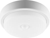 Светильник с ИК-датчиком Feron AL3006 29610 12W 4000K 220V IP54 пылевлагозащищённый