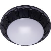 Светильник ФБУ 05-2*20-015 Feron 41361 IP64, 220V, 2*60Вт  2*Е27, черный , серии Маэстро