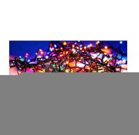 Гирлянда LD050C-GM 50 разноцв. светодиодов. 8 реж. IP44 5м SHLights 4690601021694