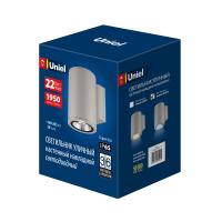 Уличный светильник ULU-S21С-22W/6400K IP65 LIGHT GREY