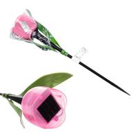 СОЛАРЫ USL-C-451/PT305 PINK TULIP