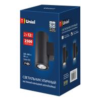 Уличный светильник ULU-S22D-2x12W/6400K IP65 BLACK