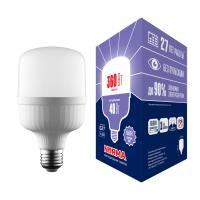 Лампа светодиодная LED-M80-40W/6500K/E27/FR/NR