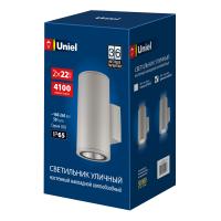 Уличный светильник ULU-S22D-2x22W/6400K IP65 LIGHT GREY