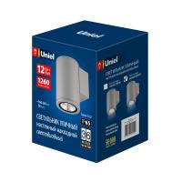 Уличный светильник ULU-S21С-12W/6400K IP65 LIGHT GREY