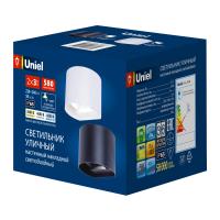 Уличный светильник ULU-S56B-2x3W/3000K+4000K+6000K IP65 WHITE
