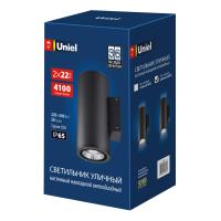 Уличный светильник ULU-S22D-2x22W/6400K IP65 BLACK