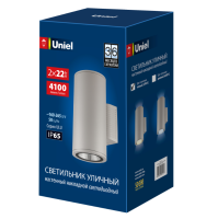 Уличный светильник ULU-S22D-2x22W/2700K IP65 LIGHT GREY