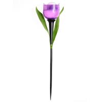 СОЛАРЫ USL-C-453/PT305 PURPLE TULIP