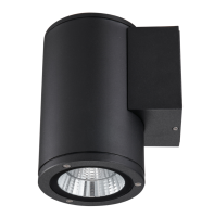 Уличный светильник ULU-S21С-12W/6400K IP65 BLACK
