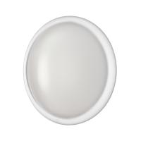 7776/DLN PALE SN 110 Светильник пластик/белый LED 48Вт 3000/4000/6000К D400 IP43 CCT JOLLY